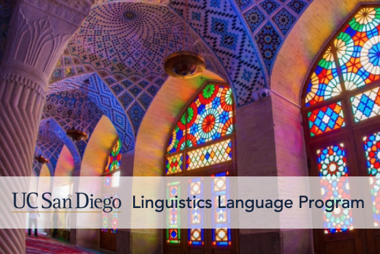 ucsd-language-program-shiraz-iran-mosque.png